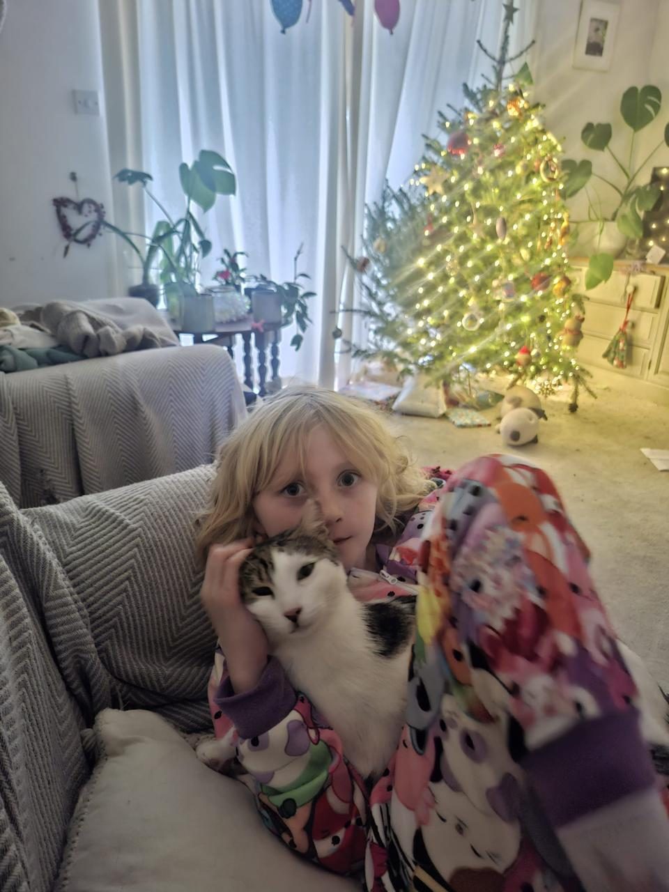 Child cuddling cat by the Christmas tree