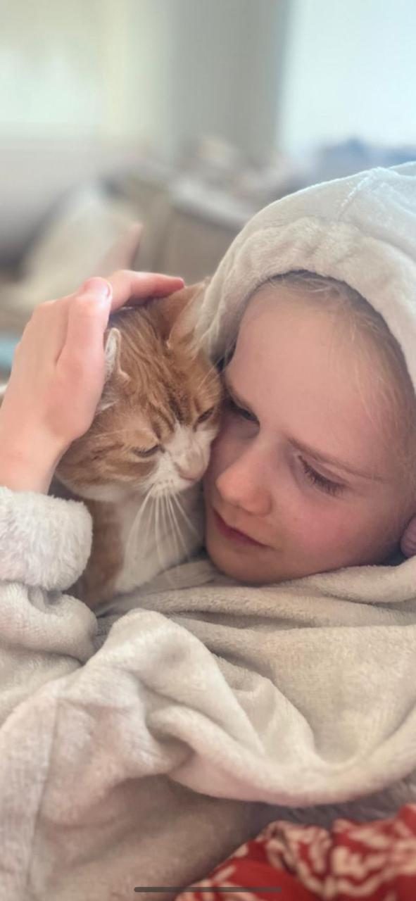 Child tenderly cuddling a ginger kitten