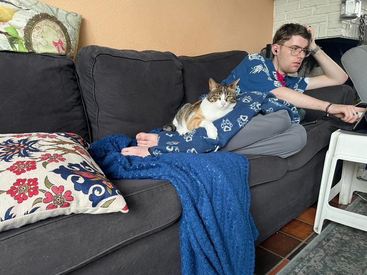 Cat on man's lap with paw-print blanket