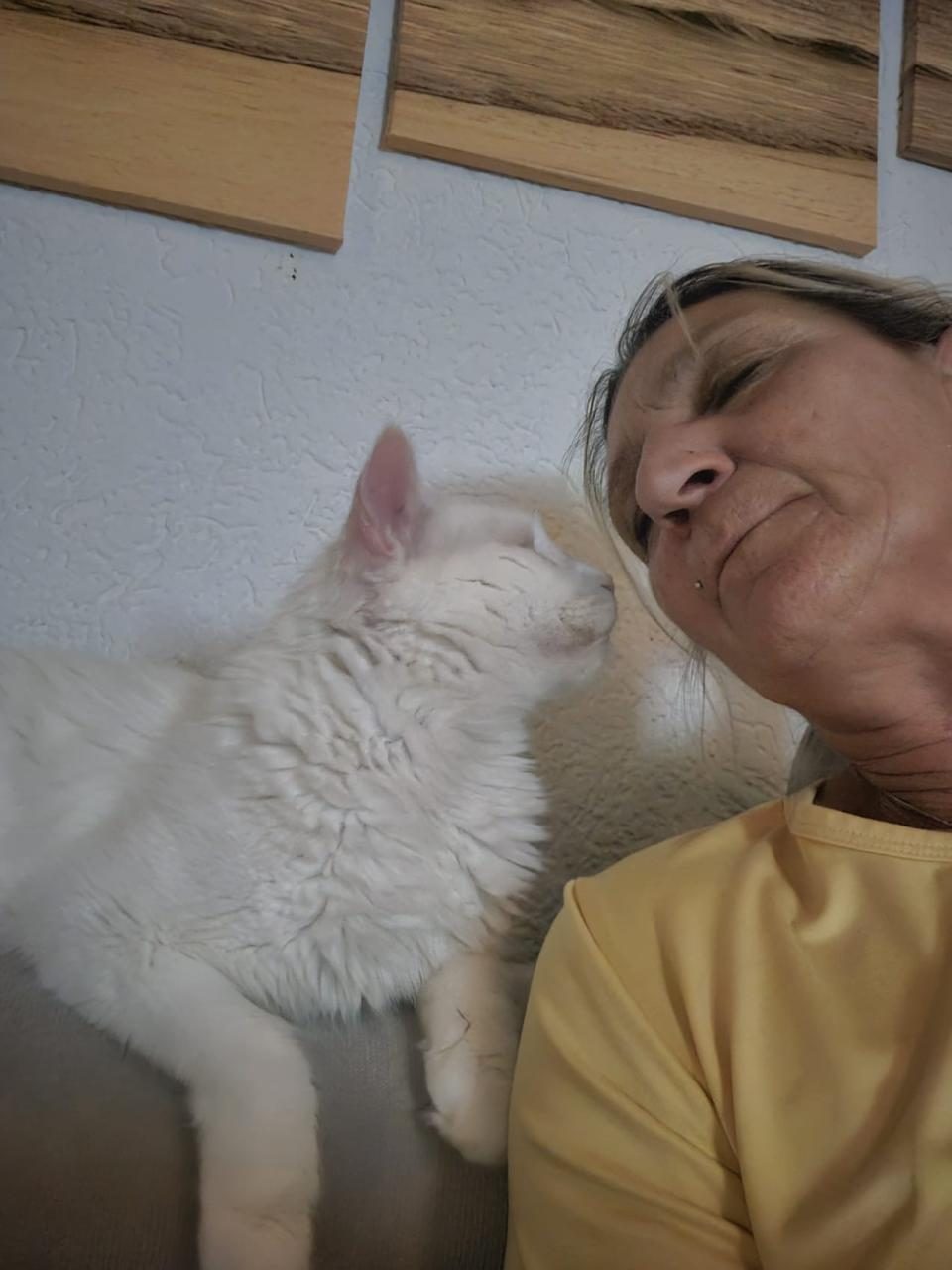 White cat nuzzling woman's face lovingly
