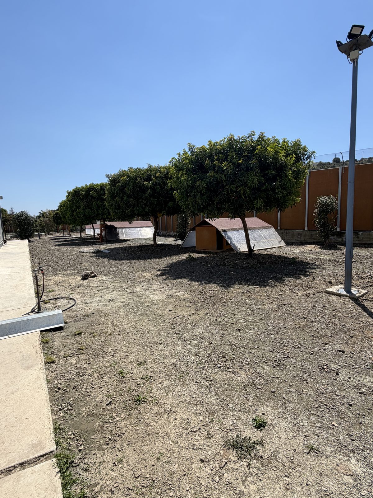 Overview of shelter grounds with cat houses under trees