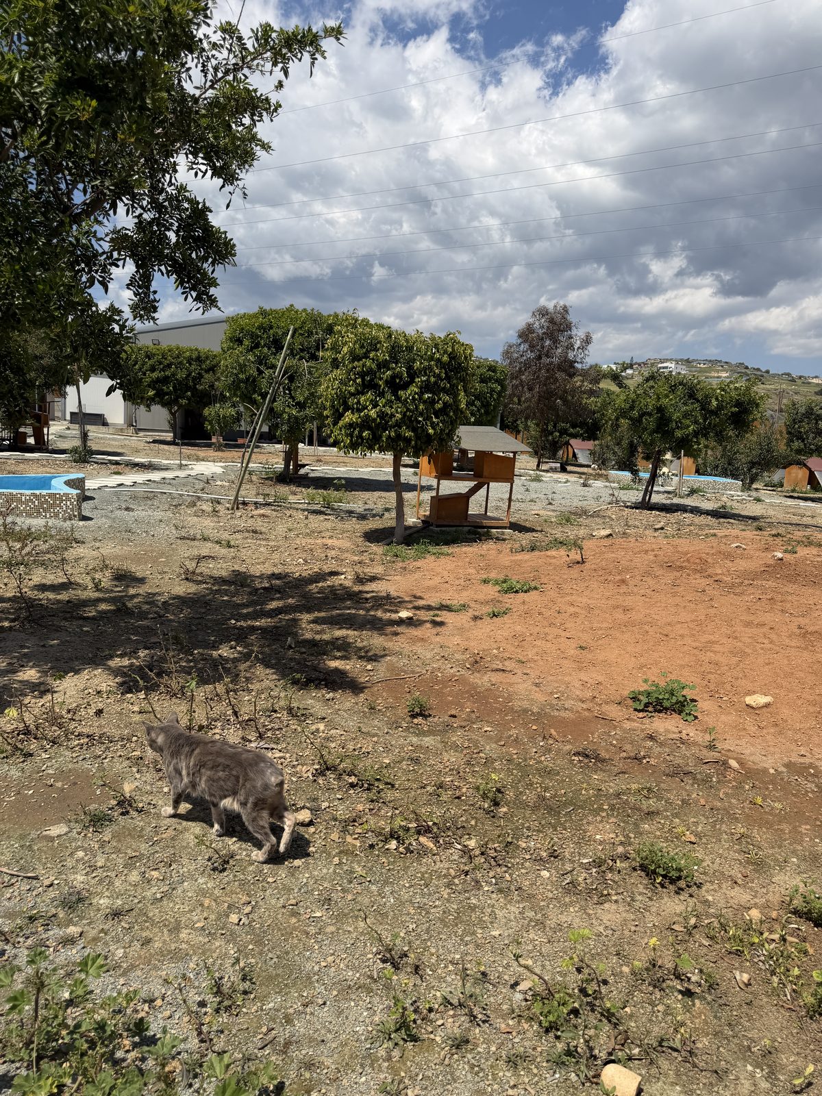 Shelter grounds landscape